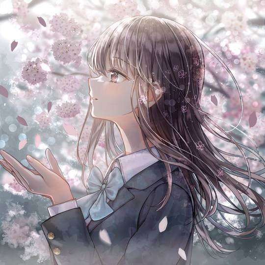 花便り (ID: 126015884)