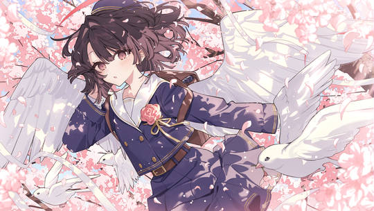 🌸 (ID: 129400136)
