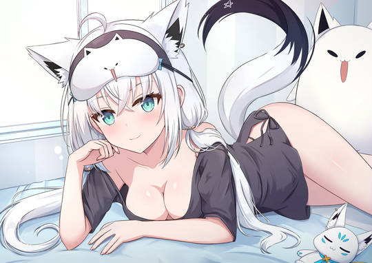 白上フブキ (ID: 133212211)