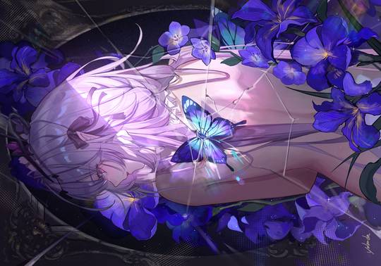 🦋 (ID: 134030931)
