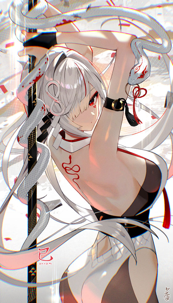 【巳】二〇二五 (ID: 125975774)