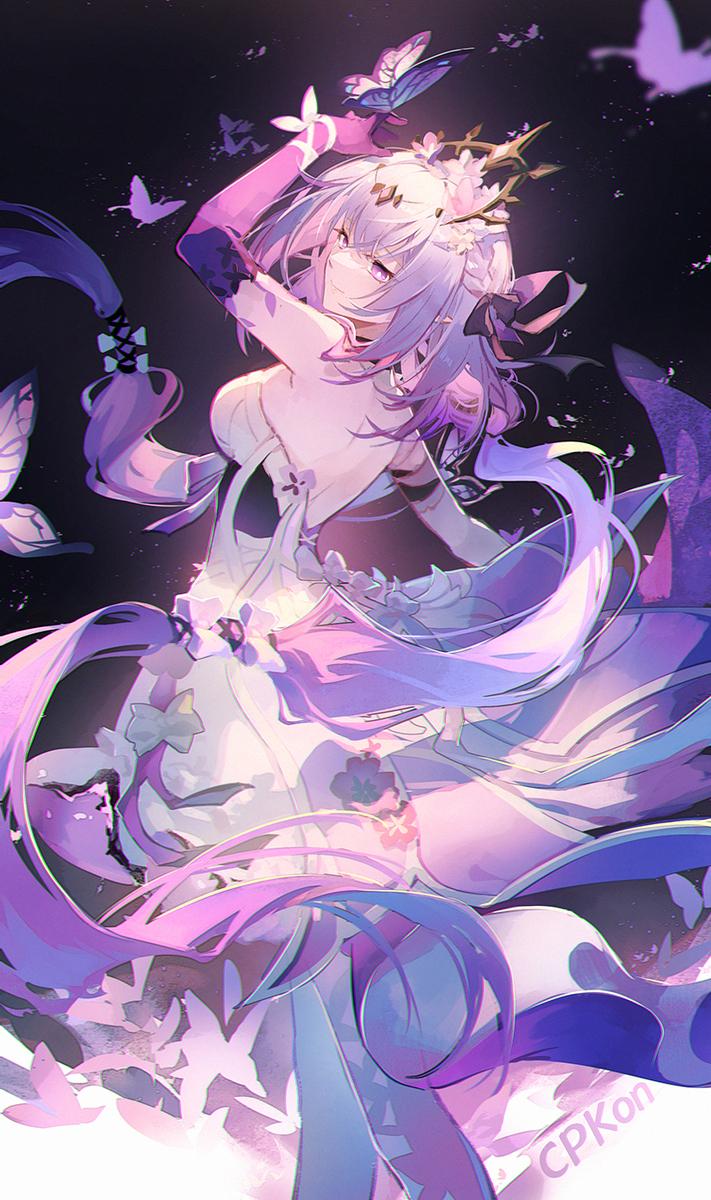 蝶之舞 (ID: 127355844)