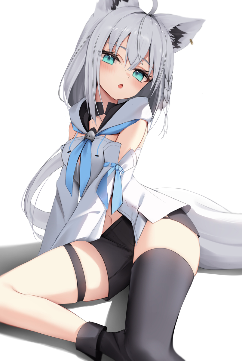 こん (ID: 136038837)